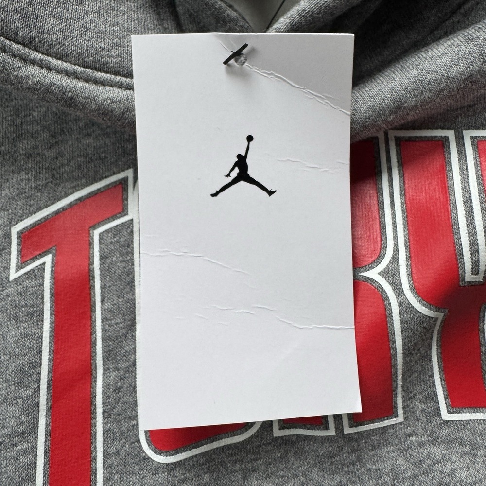 New Nike Jordan Tokyo Store Exclusive Hoodie Gray Large - Picture 4 of 4